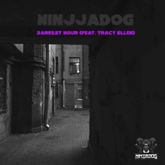 Ninjjadog FT Tracy Ellen - Darkest Hour