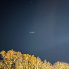 Fried Brains_vox.mp3