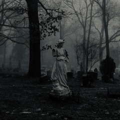 NOVEMBER 2025 - BEST OF WEEKLY DROP LIST