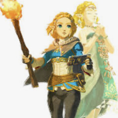 Ex Zelda