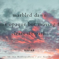 Marbled  dawn ( Naviarhaiku 427 )