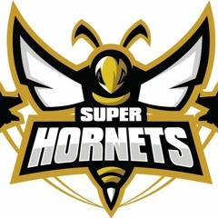 San Diego Super Hornets Hockey Warmup 23-24