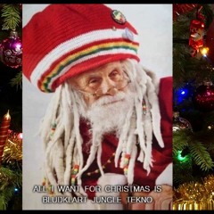 SIN23 - rocking around the anti christmas tree (techno2tekno remix)