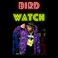 Bird Watch - Sauce Walka Type Beat