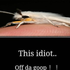 #fuckk prod. lilith moth