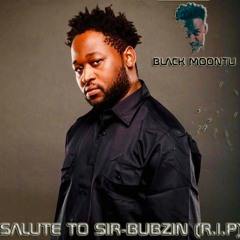 Salute to Sir-Bubzin (R.I.P)
