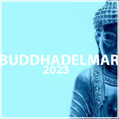 CAFE BUDDHA DEL MAR 2023