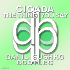 Cicada - The Things You Say (Danil Sushko Bootleg)