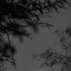 Dark Thoughts (Lil Tecca Remix)