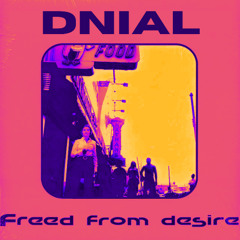 FREED FROM DESIRE (HARD FLIP) - DNIAL