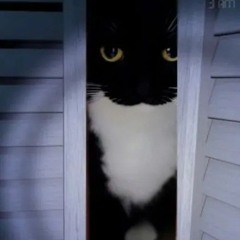 cat_from_fnaf_2