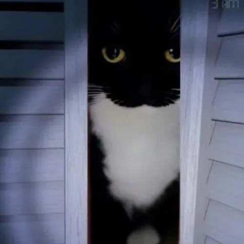 cat_from_fnaf_2