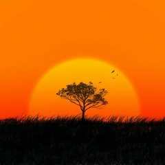 Afrika