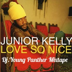 Junior Kelly Old School Mix By Dj.Young Panther