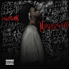 Misperception (Outro)