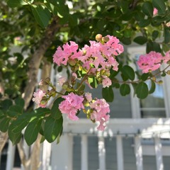 Logan - Remedy Master.m4a