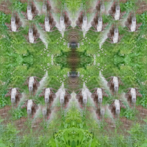 ☆urnoovyo0