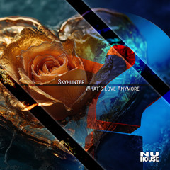 Skyhunter - What's Love Anymore [NuHouse]