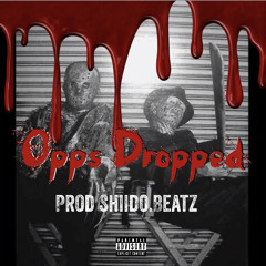 OPPS DROPPED (prod.Mitchhonthebeat)