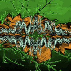 PLATO No. 10971 Incandescent Laughter