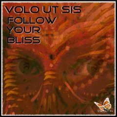 Volo Ut Sis-Follow Your Bliss [Stoner Rock+Melodic Techno+Progressive Trance-Dance Mix by Liz Anima]