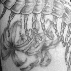 chaos カオス (keramic)