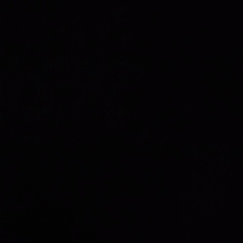 NIMDA & DALA - ID(old)