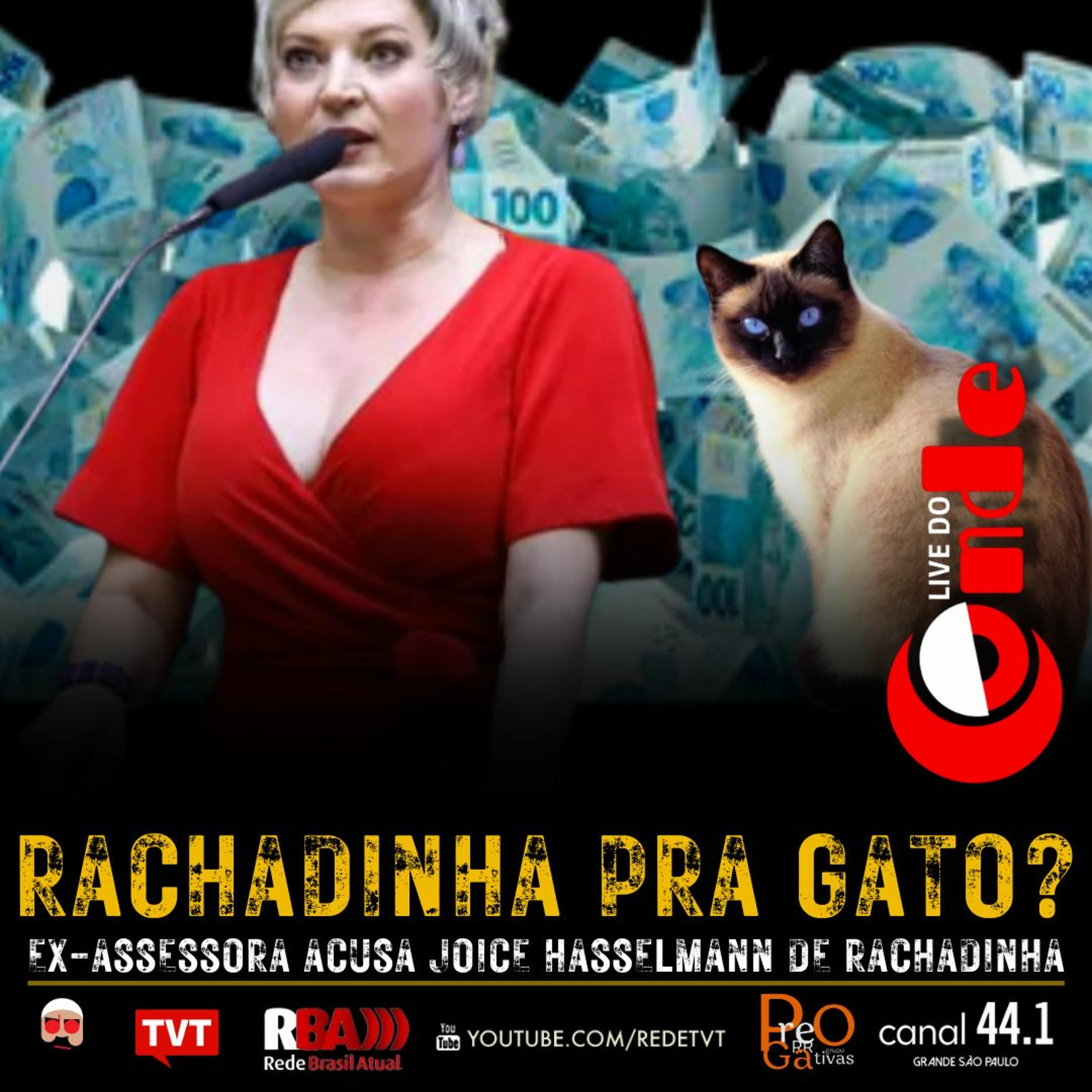 TV 247