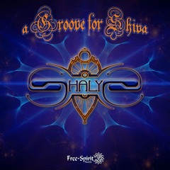 Ghost Radio (Shalys Remix)