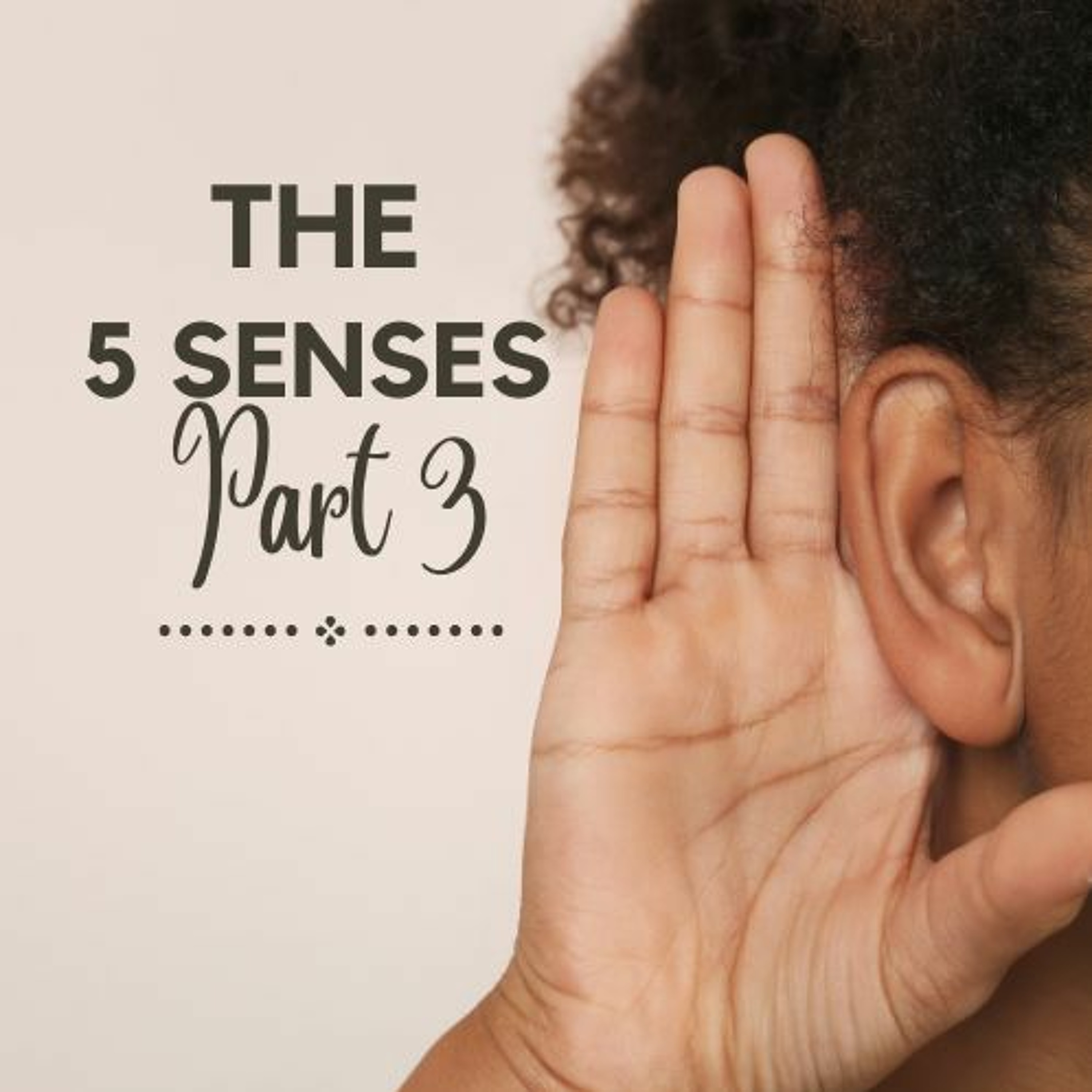 The 5 Senses - Hearing (PT. 3)  // Pas Subash Cherian episode artwork
