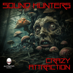 Sound Hunters - Crazy Attraction (Original Mix)