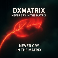 DXMatrix – Never Cry in the Matrix