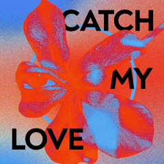 Catch My Love (Radio Mix)