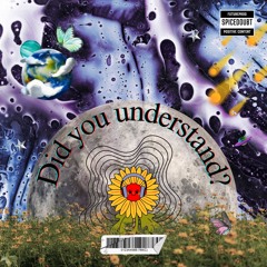Did you understand?
