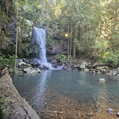 Loloma Vei Iko🎶🎶🔥