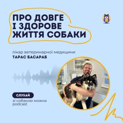 Довге і здорове життя собаки: Про найважливіше з ветеринаром Тарасом Басарабом