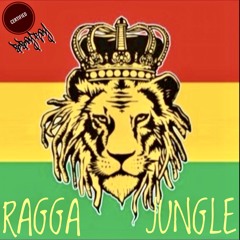 Ragga Jungle Mix