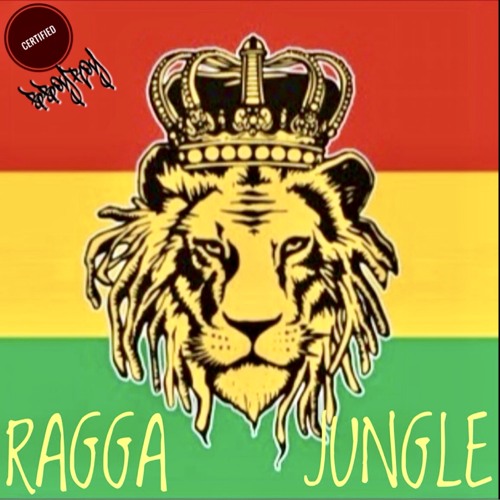 Ragga Jungle Mix
