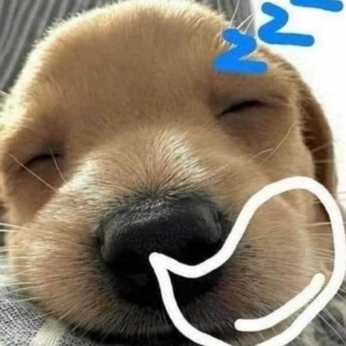 Tạm giam lâu nay....