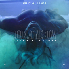 Look At Me Now (Lucky Luke Mix)
