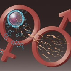 Procreation Information