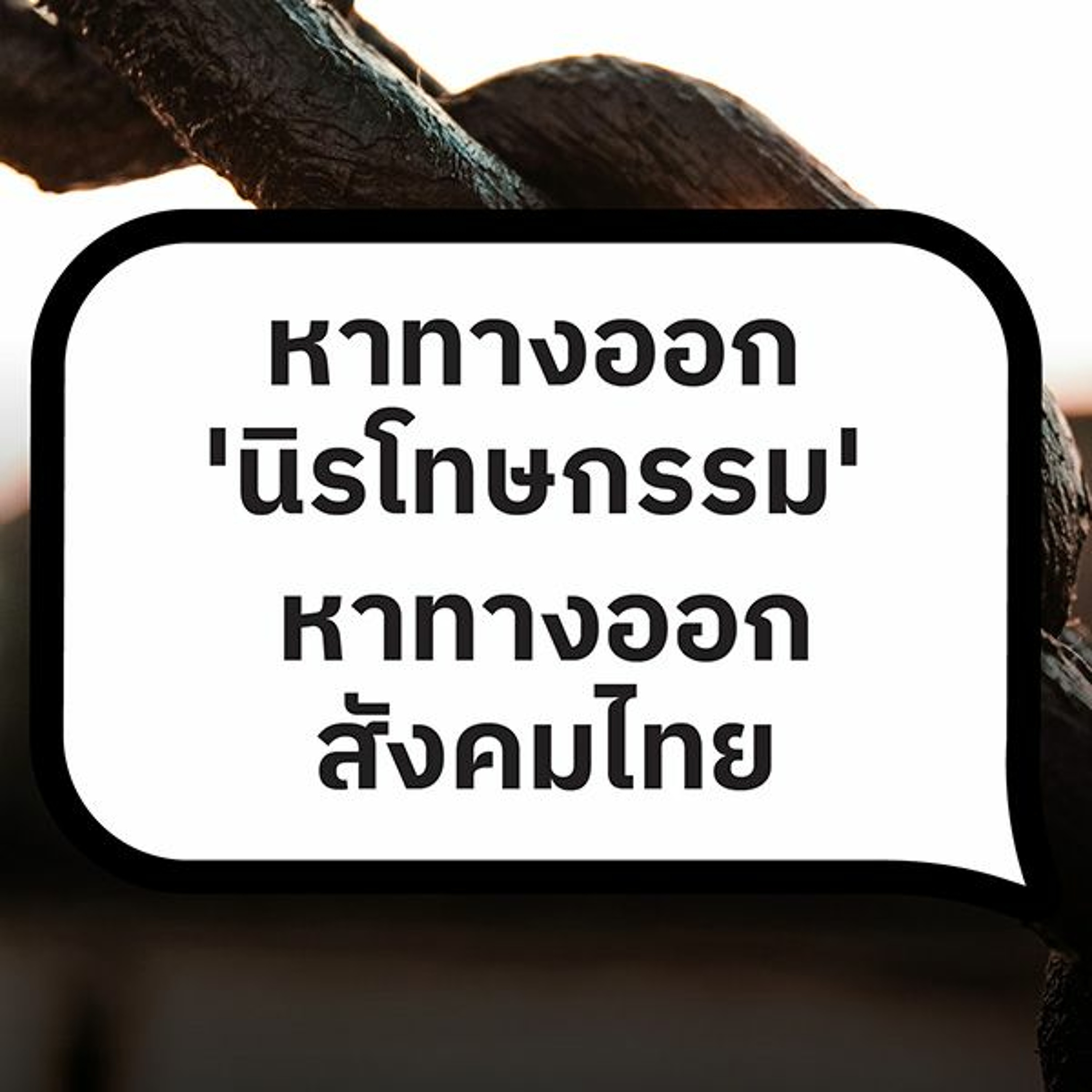 หาทางออก ‘นิรโทษกรรม’ หาทางออกสังคมไทย | 101 Policy Forum #20