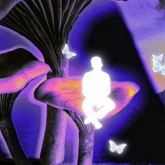 victim mentality! (prod. kobete)
