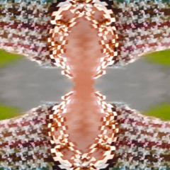 Lilly Dollar