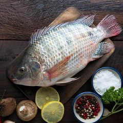 GEBOY IKAN MUJAER