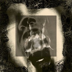 WHOAREWE???