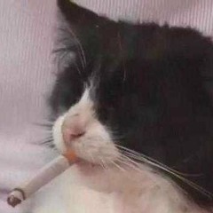 я хз лол )))))