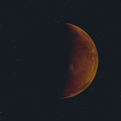 Afterlife On Mars