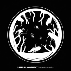 Lateral Movement • aenean