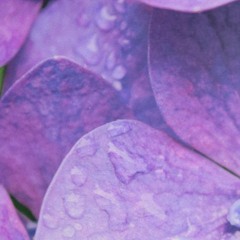 San - Orelsan (cover)